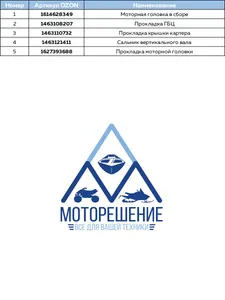 Моторная головка в сборе 10