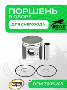 Поршень Arctic Cat 500 (T-Moly, номинал) 1