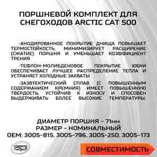 Поршень Arctic Cat 500 (T-Moly, номинал) 3