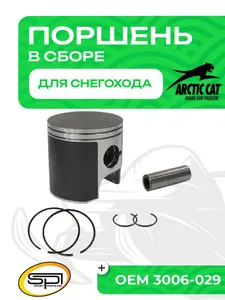 Поршень Arctic Cat 800 (T-Moly, номинал) 1