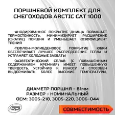 Поршень для снегохода Arctic Cat 1000 09-612 - 3006-044. Товар уцененный 3