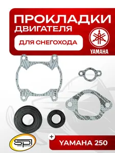 Полный комплект прокладок двигателя 1