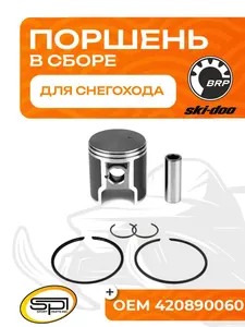 Поршень BRP 380F (T-Moly, номинал) 1