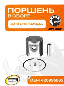 Поршень BRP 583 (T-Moly, номинал) 1