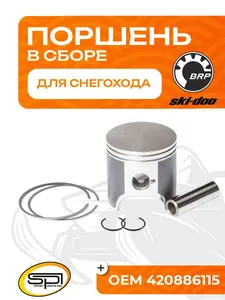 Поршень BRP 494LC (T-Moly, номинал) 1