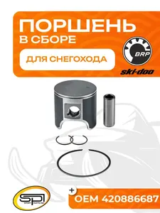 Поршень BRP 593LC (T-Moly, номинал) 1