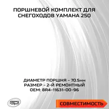 Поршень Yamaha 250 (без покр., +0,5мм) 2