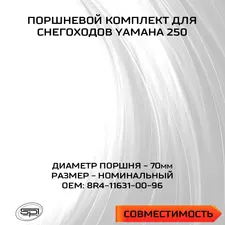 Поршень Yamaha 250 (без покр., номинал) 2
