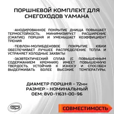 Поршень Yamaha (T-Moly, номинал) 3