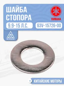 Шайба стопора ручного стартера 1