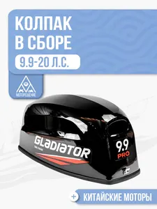 Колпак в сборе 1