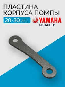 Пластина корпуса помпы