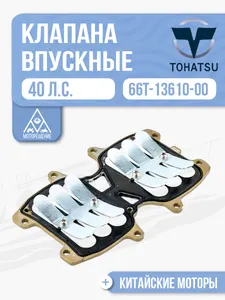 Клапана впускные лепестковые в сборе 1