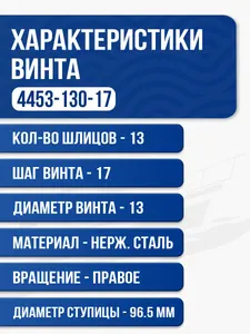 Винт гребной Solas 4x13x17 2