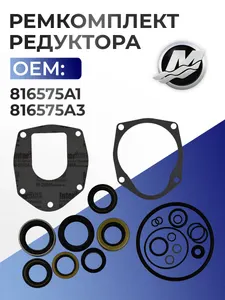 Набор уплотнений корпуса редуктора 1