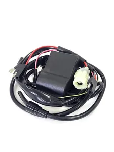 Катушка зажигания для снегохода BRP 01-143-45 - 420965757, 415080400 4