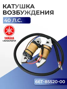 Катушка зарядная 1