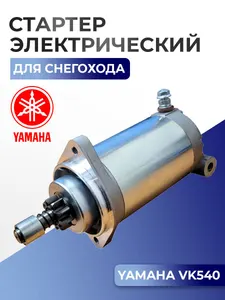 Стартер электрический в сборе VK540 1