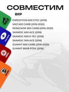 Чека безопасности (DESS Cap) BRP 3