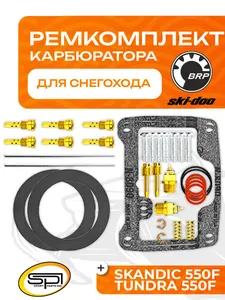 Ремкомплект карбюратора BRP 1