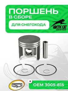 Поршень Arctic Cat 500 (T-Moly, номинал) 1