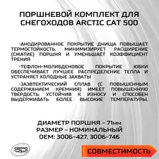 Поршень Arctic Cat 500 (T-Moly, номинал) 2