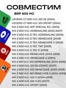 Поршень BRP 600 HO (T-Moly, номинал) 4