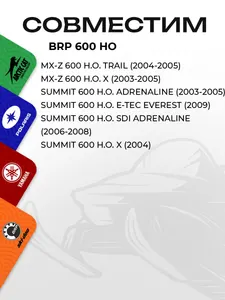 Поршень BRP 600 HO (2 кольца) (T-Moly, номинал) 4