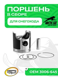 Поршень Arctic Cat 600 (T-Moly, номинал) 1