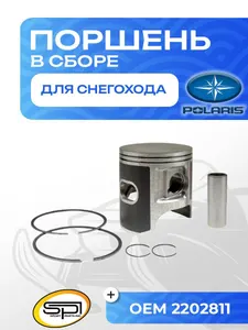 Поршень Polaris 900 (T-Moly, номинал) 1