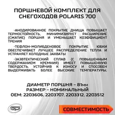 Поршень Polaris 700 (T-Moly, номинал) 3