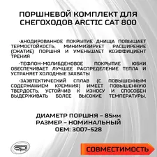 Поршень Arctic Cat 800 (T-Moly, номинал) 3