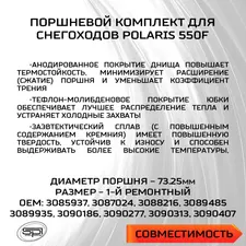 Поршень Polaris 550F (T-Moly, +0,25мм) 3