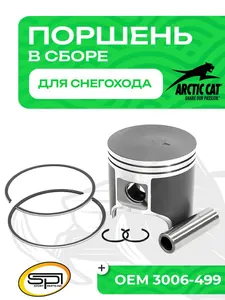 Поршень Arctic Cat 800LC (T-Moly, номинал) 1