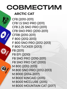 Поршень Arctic Cat 800LC (T-Moly, номинал) 2