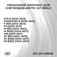 Поршень Arctic Cat 800LC (T-Moly, номинал) 4