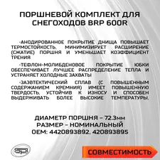 Поршень BRP 600R (T-Moly, номинал) 2