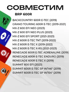 Поршень BRP 600R (T-Moly, номинал) 3