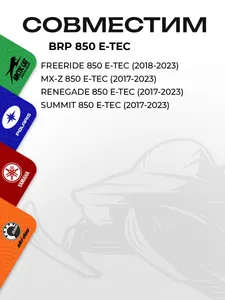 Поршень BRP 850 E-TEC (T-Moly, номинал) 3