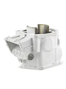 Цилиндр BRP 600HO SDI 2