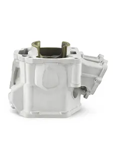 Цилиндр BRP 600HO SDI 3