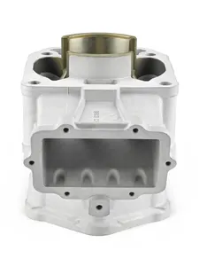 Цилиндр BRP 600HO SDI 6