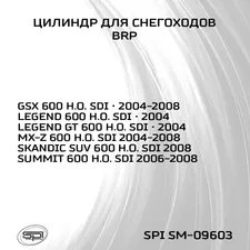 Цилиндр BRP 600HO SDI 9