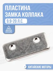 Пластинка внутренняя замка колпака 1